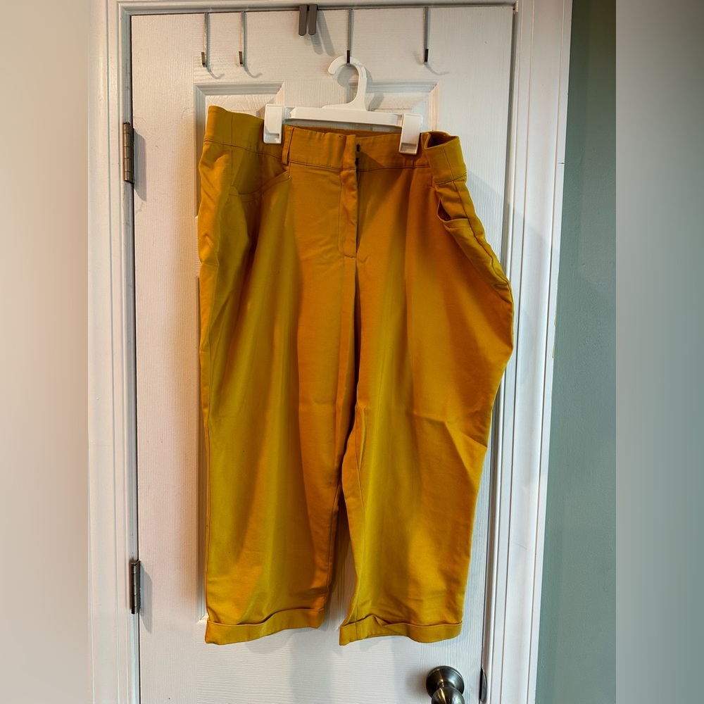 Lane Bryant Mustard Work Capri sz18